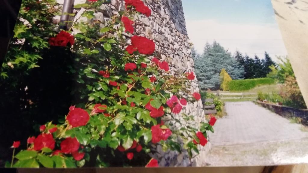 Вилла Casa San Martino Тельо Экстерьер фото